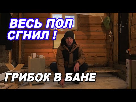 Видео: ЭТО ЕЩЁ НЕ ВСЁ! Сгнил ПОЛ в бане. Всё в ГРИБКЕ.