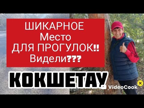 Видео: НОВАЯ локация, ГДЕ можно провести ВРЕМЯ и погулять, почему МЫ узнали о ней, только ГОД назад 🫂🥰