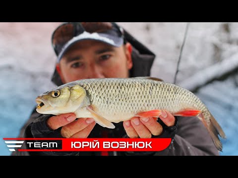 Видео: ЛОВЛЯ ГОЛОВНЯ В МОРОЗ. Зимова рибалка на малій річці