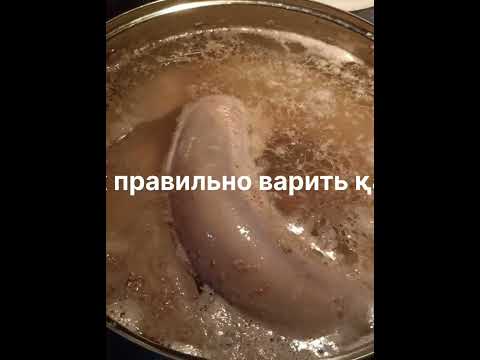 Видео: Как правильно варить казы