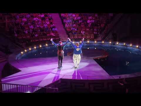 Видео: цирк саратов 2