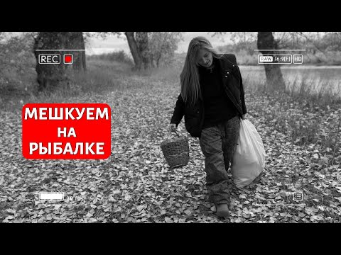 Видео: Миграция судака... Или НЕТ?!
