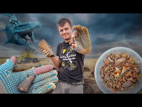 Видео: Экспедиция по мезозою | Кладбище мозазавров и древних акул | Часть 4