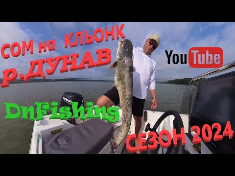 Видео: СОМ на КЛЬОНК ! Река ДУНАВ СЕЗОН 2024! CATFISHING : WITH CLONK ! Danube River!