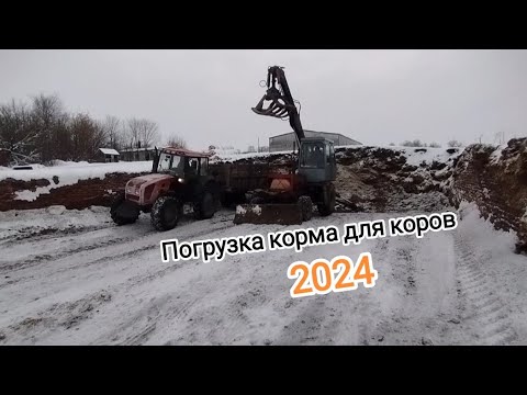 Видео: 🚜Трактор МТЗ 922.3 и Погрузчик-экскаватор Карпатец ПЭА-1,0 на погрузке силоса для коров 🐄