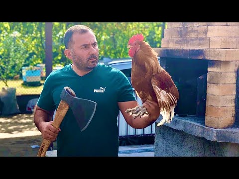 Видео: Сочный КУРИНЫЙ ФИЛЕ с ОВОЩАМИ - Легкий рецепт на сковороде!