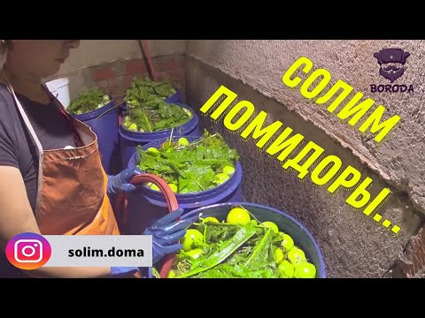 Видео: СОЛИМ ПОМИДОРЫ В БОЧКАХ / ДОМАШНИЕ СОЛЕНЬЯ / homemade pickles