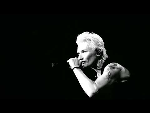 Видео: Ночные Снайперы - Цой. 06.04.2025 Клуб Temple of deer. Санкт-Петербург.