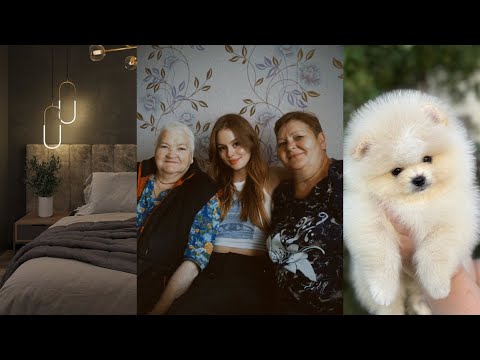 Видео: МЫ ПЕРЕЕХАЛИ | ЗАВЕЛИ СОБАКУ | СЪЕЗДИЛИ В ДЕРЕВНЮ | ПОКАЗАЛА ДАЧУ | ПРОГУЛКИ С ДРУЗЬЯМИ