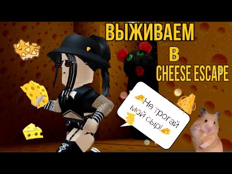 Видео: 🧀Выживаем в cheese escape🧀|roblox cheese escape|🧀|роблокс cheese escape|