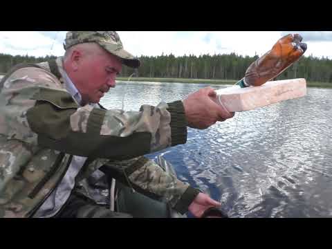 Видео: Касатоныч и Саныч! Рыбалка на ламбушке в Карелии!