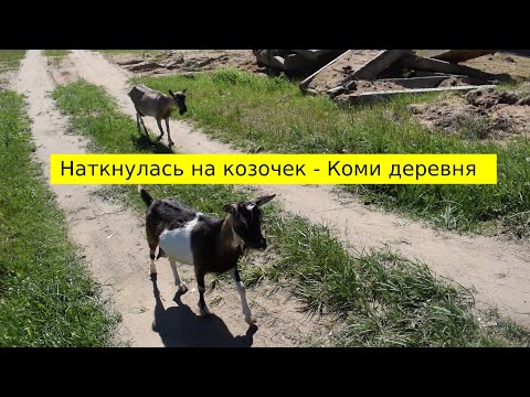 Видео: Посёлок Яснэг - Населенные пункты Республики Коми