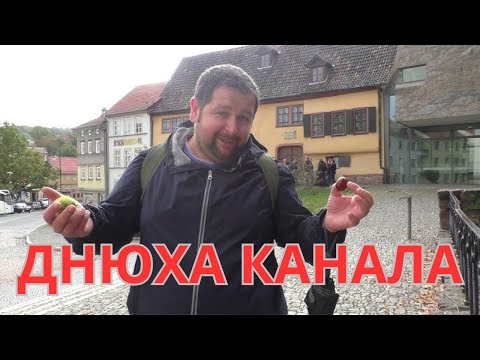 Видео: Первому Циничному 9 лет!