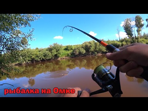 Видео: рыбалка на Омке/вечерний клев