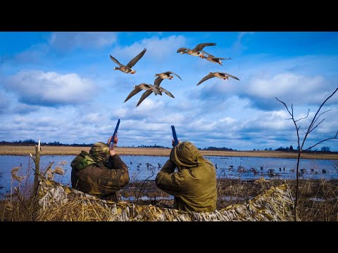Видео: ШИКАРНАЯ ОХОТА НА ГУСЯ. Добыли 35 гусей