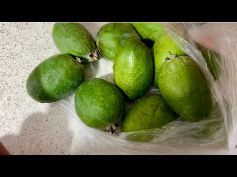 Видео: Влог.Прогулка в Лес 🌳 Покупки из Фикс Прайс и незрелая Фейхоа 🫢