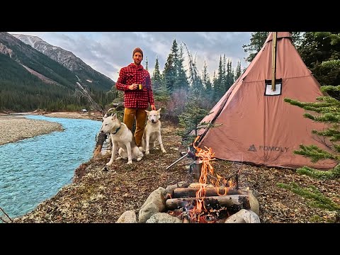 Видео: Одиночный кемпинг с палатками и походы у отдаленной реки | Дикая природа Юкона с моими собаками
