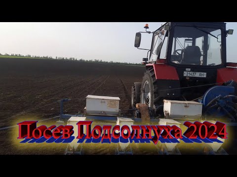 Видео: Посев Подсолнуха 2024! МтЗ 892 !!!! Кпс 4 Новые Бороны