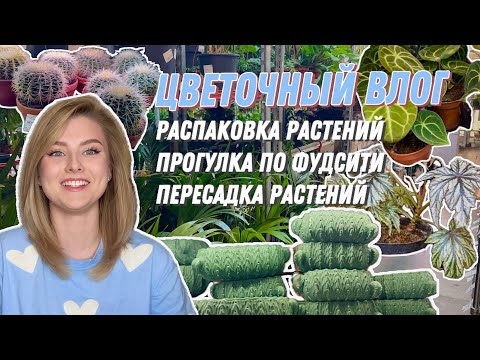 Видео: Цветочный влог: Пересадка, распаковка и букеты | 2 недели с живыми и стабилизированными растениями