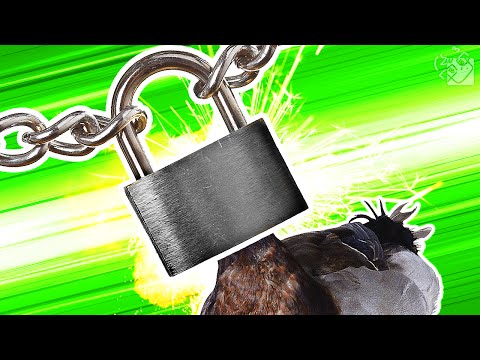 Видео: ТЕБЕ НЕ СЛОМАТЬ ЭТОТ ЗАМОЧЕК! - Duck Game