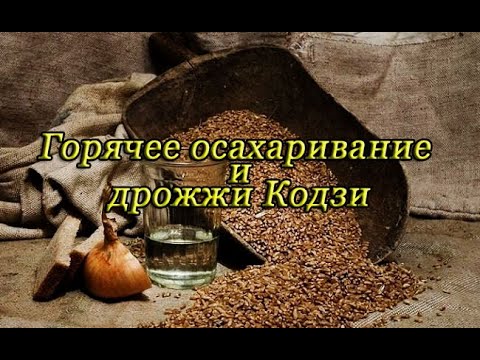 Видео: Горячее осахаривание и дрожжи Кодзи