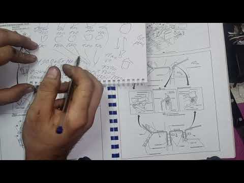 Видео: Зачем платить +25% к тарифу как потери в сетях в целевые сборы, а не расходы СНТ во Взносы.