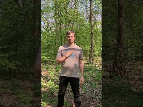 Видео: СЛУХАТИ СЕРЦЯ БИТТЯ