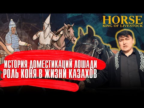 Видео: Где же впервые оседлали лошадь? «Жылқы – малдың патшасы» . 1-серия