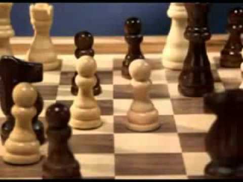 Видео: Робоцып - RobotChicken. Лучшие приколы !!