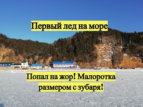 Видео: Первый лед на море. Попал на жор! Малоротка размером с зубаря!