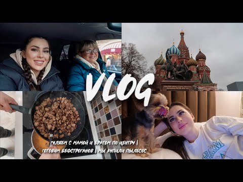 Видео: VLOG || ГУЛЯЕМ С МАМОЙ И БРАТОМ ПО ЦЕНТРУ | ГОТОВИМ БЕФСТРОГАНОВ | МЫ КУПИЛИ ПЫЛЕСОС