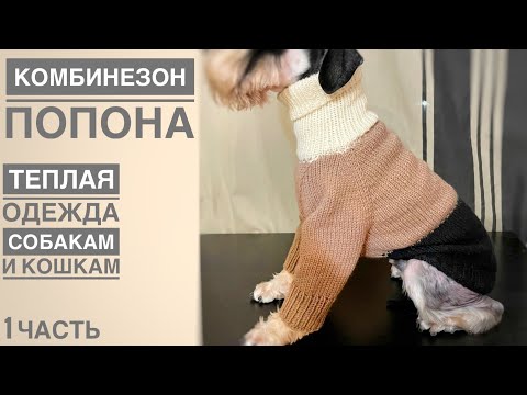 Видео: Попона для собаки или кошки, часть 1