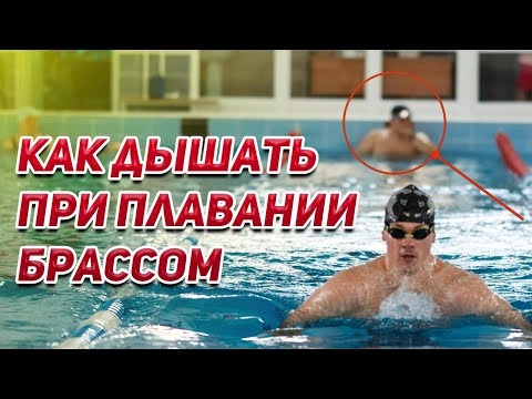 Видео: Как дышать при плавании брассом. Лайфхак от попадания воды. Вы больше не будете задыхаться