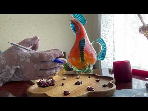 Видео: [ГАДАНИЕ НА БОБАХ] Что ждёт вас на начало августа