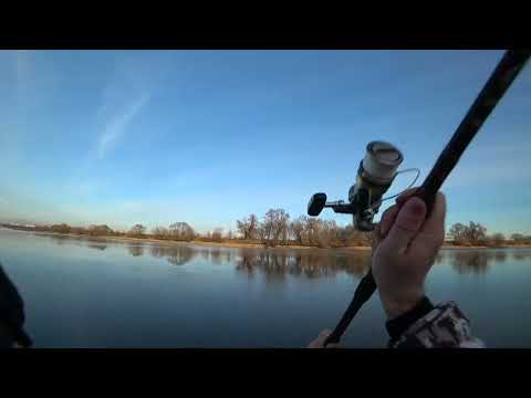 Видео: ВСЕ БЕРИТЕ ТАПКИ. Чулково, ищем хищника