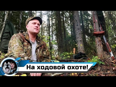 Видео: ОТКРЫТИЕ ОХОТЫ НА ЛОСЯ/РАБОТА СОБАК/МОЛОДОЙ ПОДШУМЕЛ!!!