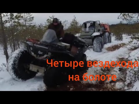 Видео: Четыре вездехода на болоте!!!