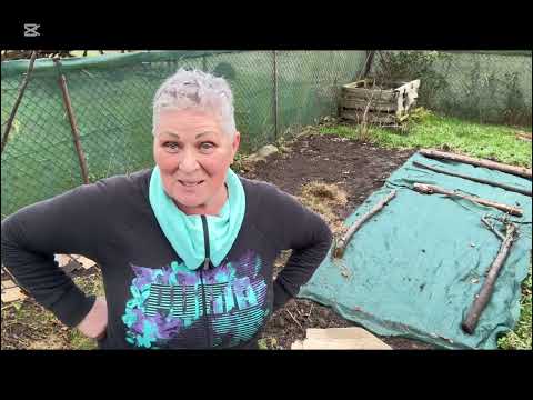 Видео: Придумала как спрятать чеснок от Котов,осенние работы.