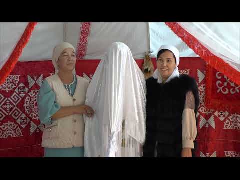 Видео: 20 10 24 Беташар