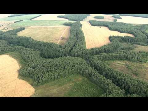 Видео: The Russian plain. The Ryazan region./Русская равнина. Рязанская область.