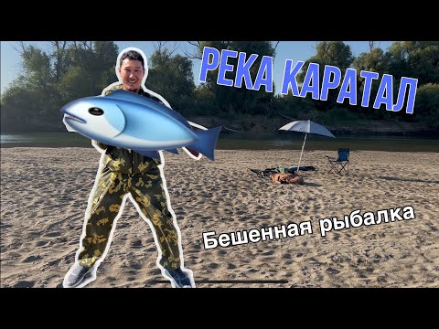 Видео: ВОТ ЭТО РЫБА! ЛОМАЕТ ПОДСАК! Установил новый личный рекорд! Смотреть ВСЕМ!