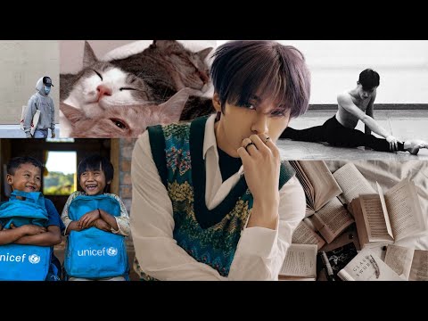 Видео: Stray Kids: Lee Know | Факты, Профиль и TMI