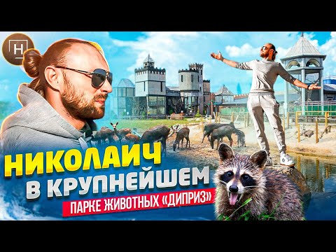 Видео: Парк Животных Диприз | Контактных зоопарк |  Куда съездить отдохнуть