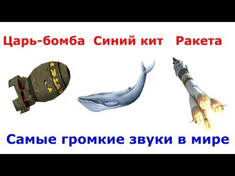 Видео: Сравнение самых громких звуков в мире