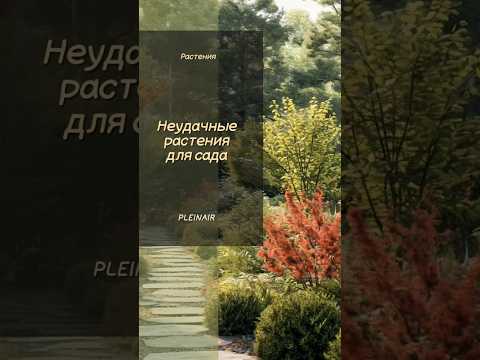 Видео: Не сажай ❌ эти растения в саду #ландшафтныйдизайн #сад #дача #garden #огород