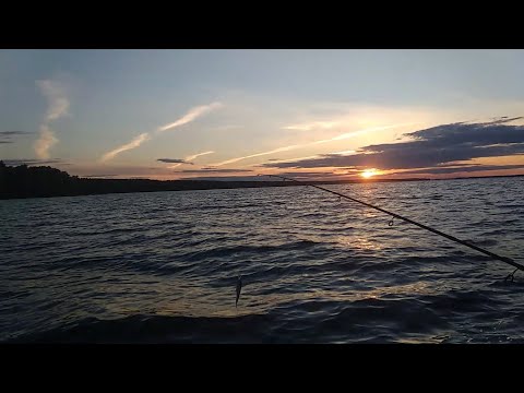 Видео: Рыбинское водохранилище, река Себла 2018