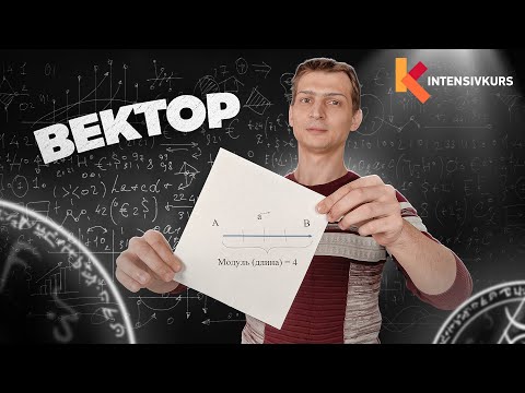 Видео: Вектор в Физике. Как Рисовать Вектор? Модуль Вектора || Урок Физики 8 класс // Подготовка к ЕГЭ