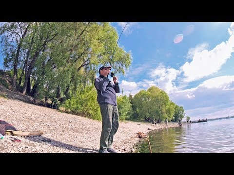 Видео: ЖИРНЫЙ ОКУНЯРА ТАКИ ПРИШЁЛ! Ловля Окуня на спиннинг с Отводным поводком