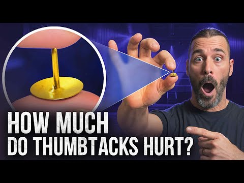 Видео: Каковы ощущения при приземлении в Thumbtacks?