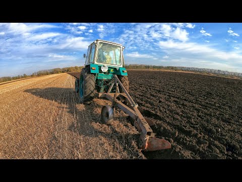 Видео: Оранка ЮМЗ-6 і ПЛН 3-35, не хуже чим Lemken!